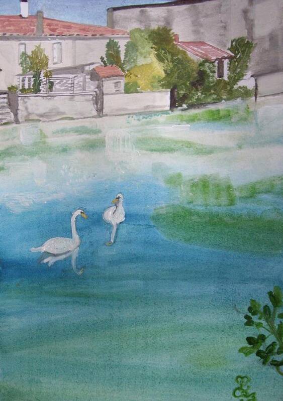 Swans Art Print featuring the painting We've lost the baby......again by Carole Robins