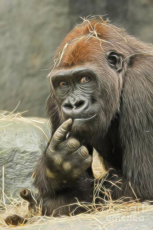 Gorilla Art Print featuring the photograph Where Did I Put My Keys? by Patty Colabuono