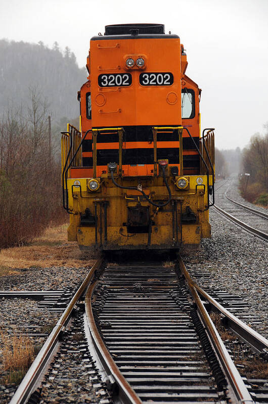 Train Art Print featuring the photograph Which Way by Mike Martin