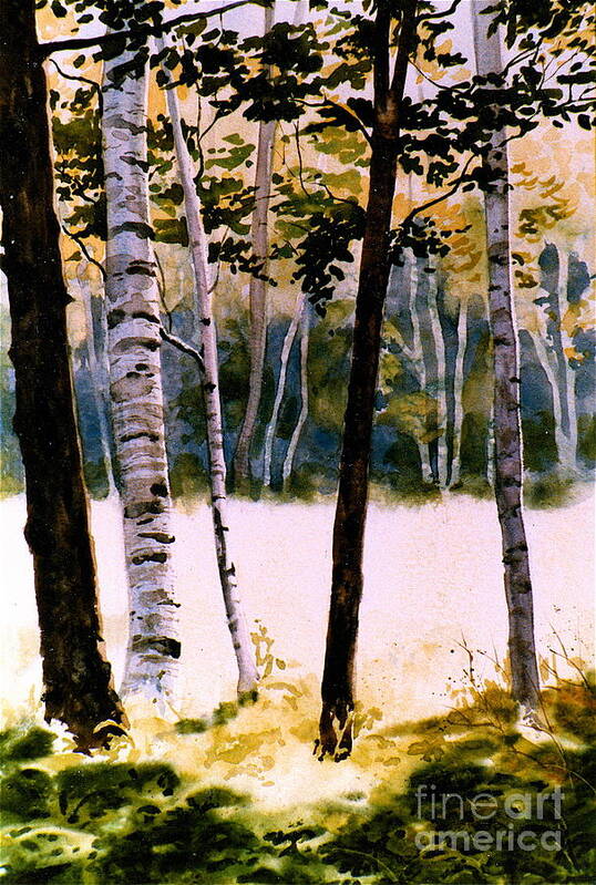 Trees Art Print featuring the painting White Birch Trees by Karol Wyckoff