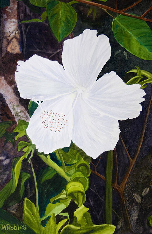 Flower Art Print featuring the painting White Hibiscus by Mike Robles