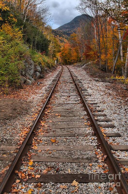 White Mountains Art Print featuring the photograph White Mountains Railroad Tracks by Adam Jewell