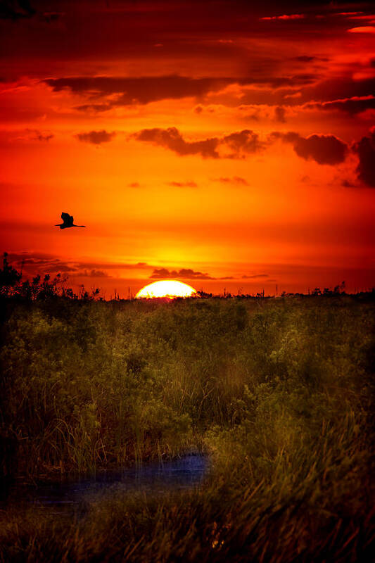 Sunset Art Print featuring the photograph Wild Sunset by Mark Andrew Thomas