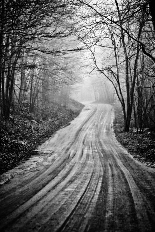 Dirt Road Art Print featuring the photograph Winding Dirt Road by Karol Livote