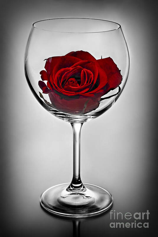 Wine Glass Art Print featuring the photograph Wine glass with rose by Elena Elisseeva