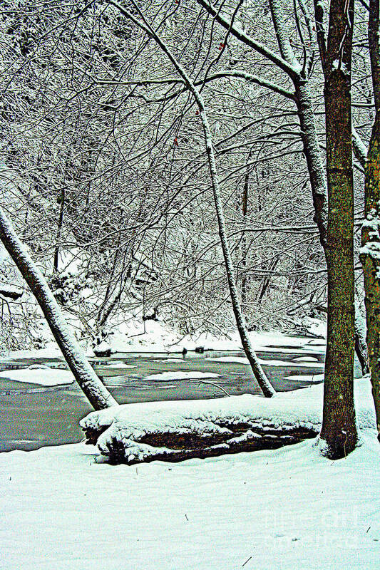 Wisconsin Art Print featuring the photograph Winter By The Creek by Kay Novy
