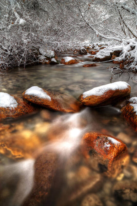 Winter Art Print featuring the photograph Winter Creek by David Andersen