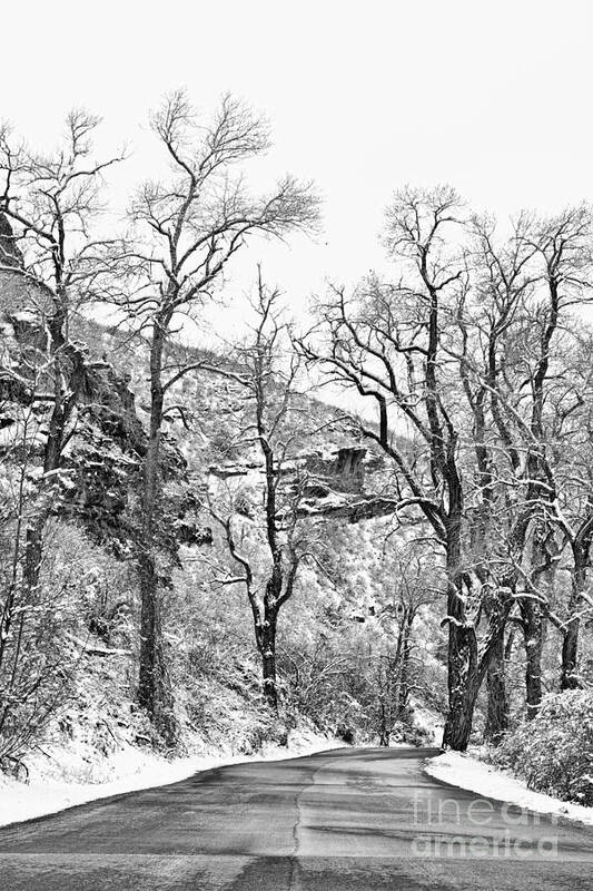 Trees Art Print featuring the photograph Winter Road Black and White by James BO Insogna