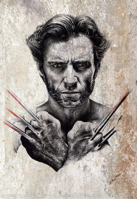 Wolverine Art Print featuring the drawing Wolverine splash effect by Andrew Read