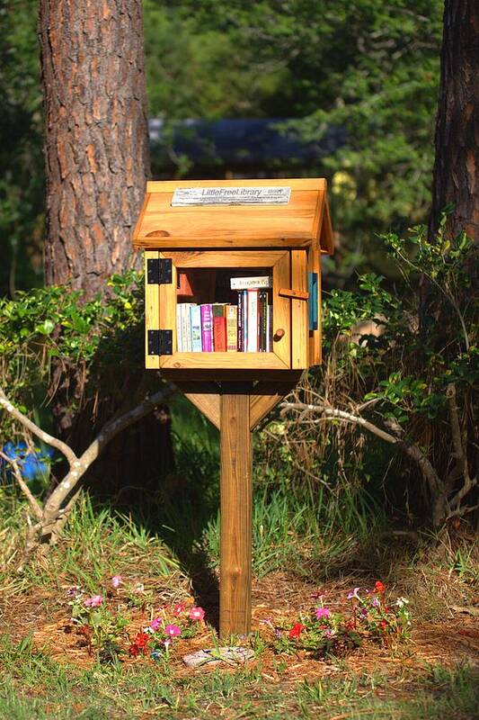 5691 Art Print featuring the photograph World's Smallest Library by Gordon Elwell