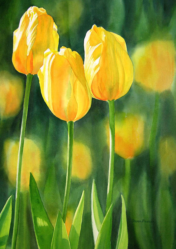 Watercolor Art Print featuring the painting Yellow Tulips by Sharon Freeman