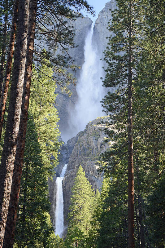 Yosemite Art Print featuring the photograph Yosemite Falls in Morning Splendor by Bruce Gourley