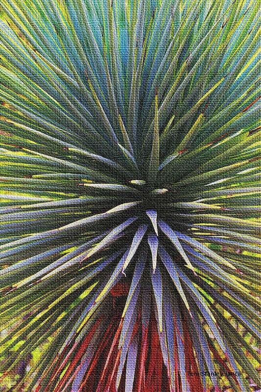 Yucca At The Arboretum Art Print featuring the photograph Yucca At The Arboretum by Tom Janca