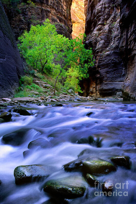 America Art Print featuring the photograph Zion Narrows by Inge Johnsson