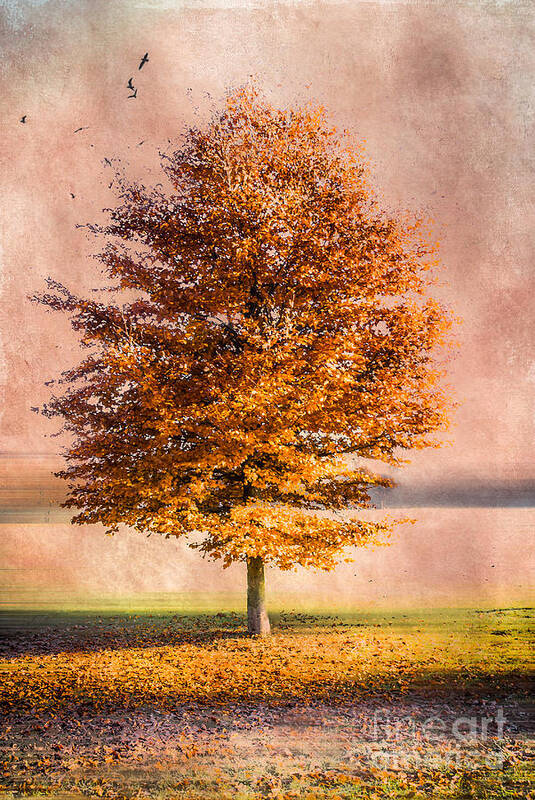 Autumn Art Print featuring the photograph Autumn Light #1 by Hannes Cmarits