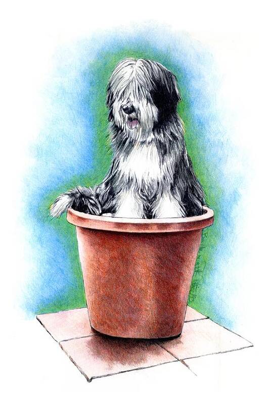 Beardie Art Print featuring the painting Beardie in a Pot by Patrice Clarkson