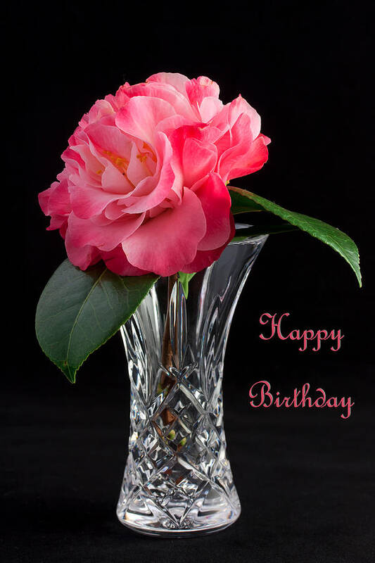 Camellia Art Print featuring the photograph Birthday vase #1 by Shirley Mitchell