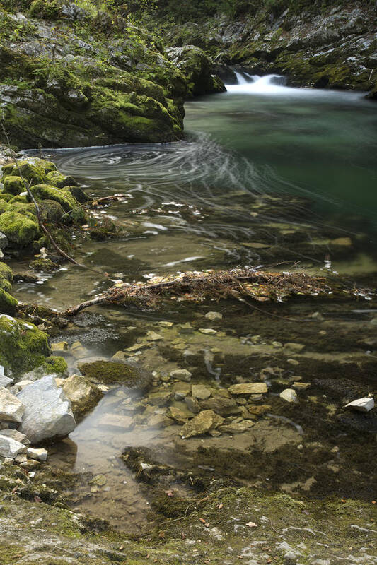 Soteska Art Print featuring the photograph The Soteska Vintgar gorge #17 by Ian Middleton