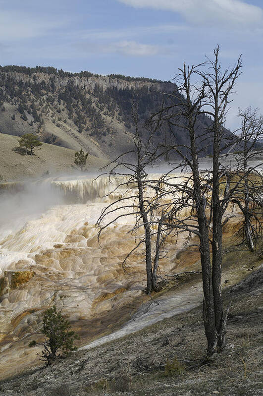 Yellowstone National Park Art Print featuring the photograph Yellowstone Nat'l Park #3 by Henri Irizarri