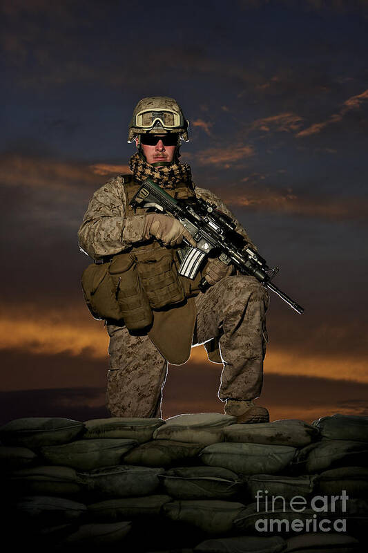 M16 Art Print featuring the photograph Portrait Of A U.s. Marine In Uniform #3 by Terry Moore