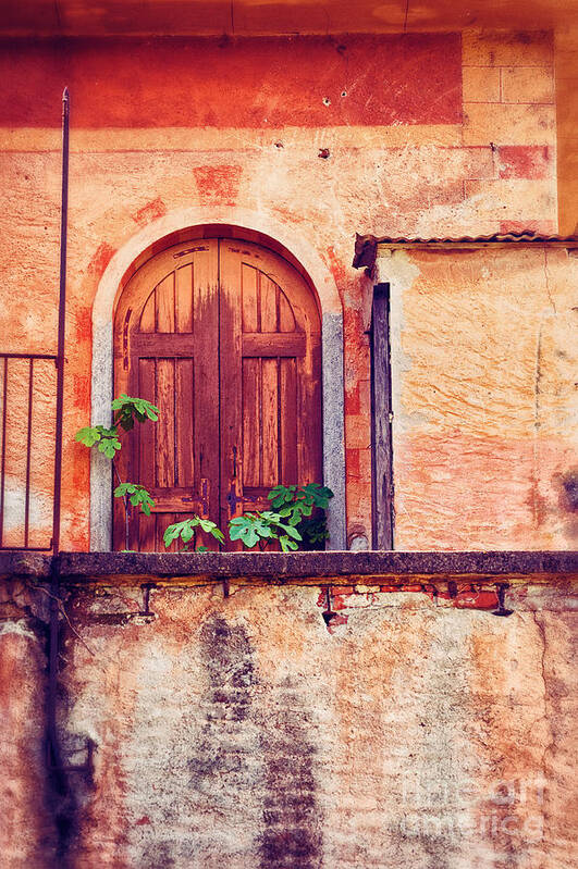 Door Art Print featuring the photograph Abandoned building door with leaves by Silvia Ganora