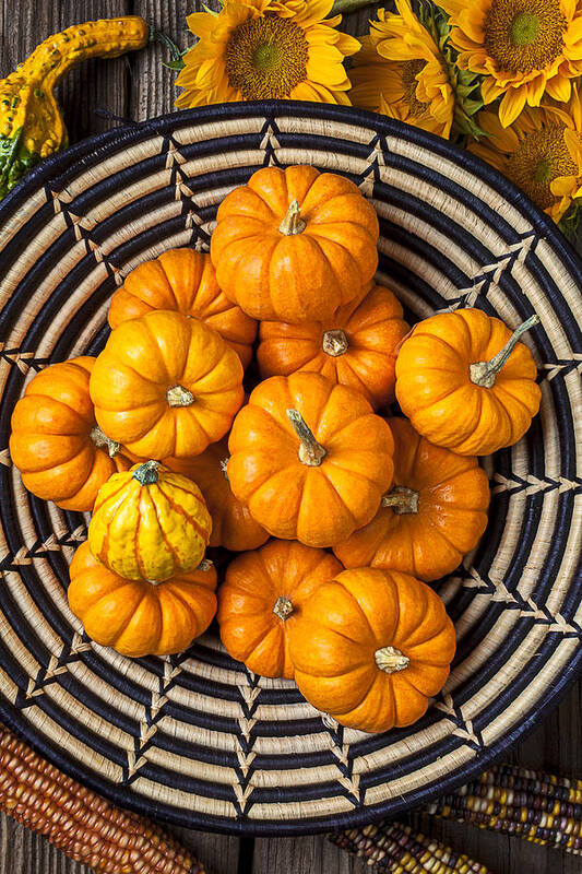 Basket Full Stack Art Print featuring the photograph Basket full of small pumpkins by Garry Gay