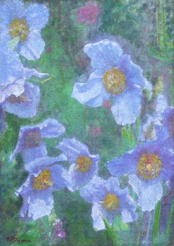 Flowers Art Print featuring the painting Blue Poppies by Richard James Digance