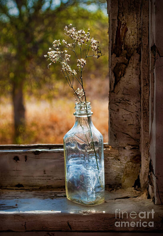 Bottle Art Print featuring the photograph Bottle on Window Sill by Norma Warden