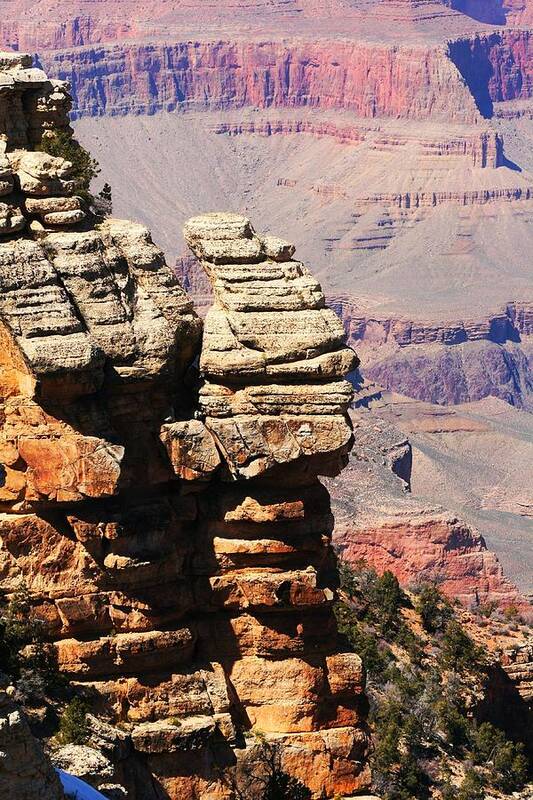 Grand Canyon Art Print featuring the photograph Bottoms Up by Phil Cappiali Jr