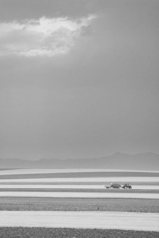 Portrait Art Print featuring the photograph Boulder County Colorado Farming Black and White by James BO Insogna