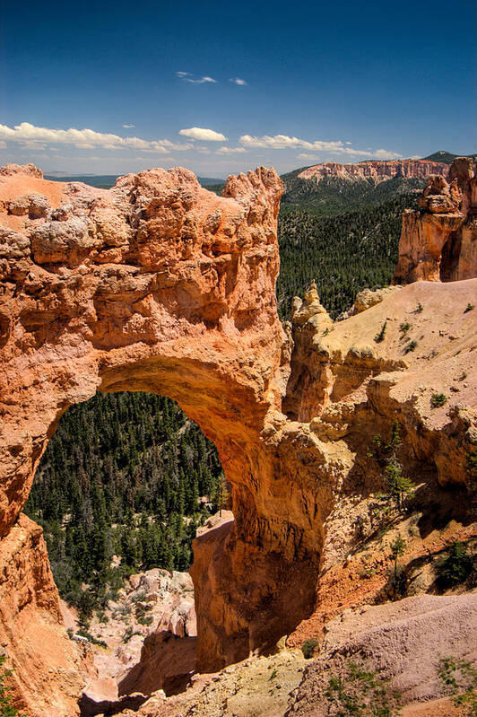 Bryce Art Print featuring the photograph Bryce Canyon Arch by Larry Carr