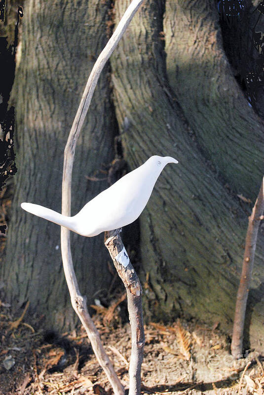 Clay Art Print featuring the photograph Clay Bird by Bill Thomson