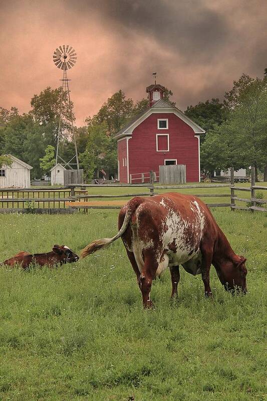 Hovind Art Print featuring the photograph Dairy Farm by Scott Hovind