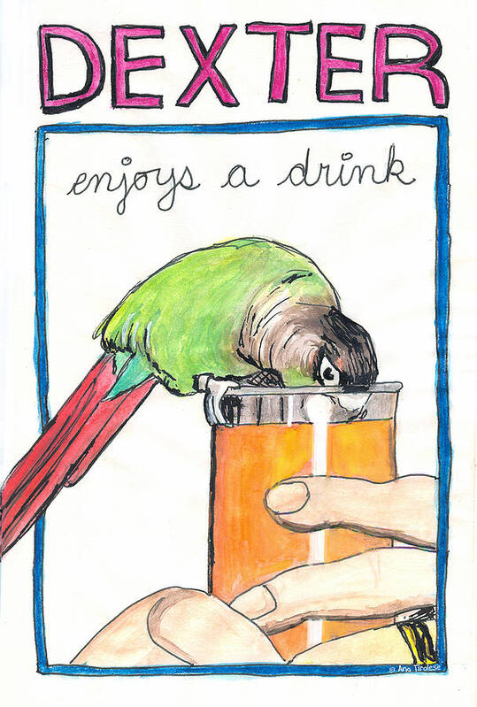 Dexter Art Print featuring the drawing Dexter Enjoys a Drink by Ana Tirolese