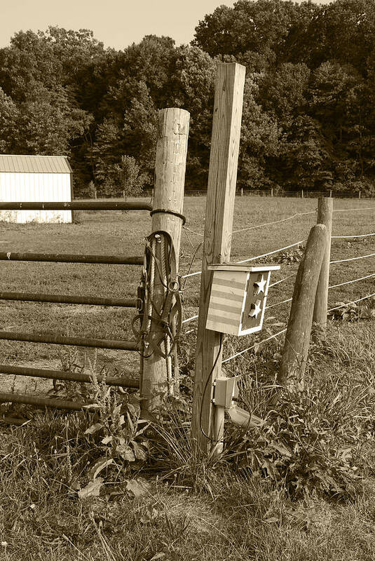 Fence Art Print featuring the photograph Fence Post by Jennifer Ancker