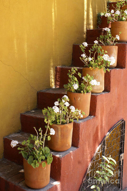 Mexico Art Print featuring the photograph FLOWERY STAIRCASE San Miguel de Allende Mexico by John Mitchell