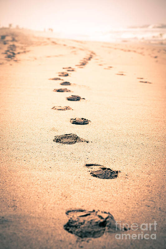 California Art Print featuring the photograph Footprints in Sand by Paul Velgos