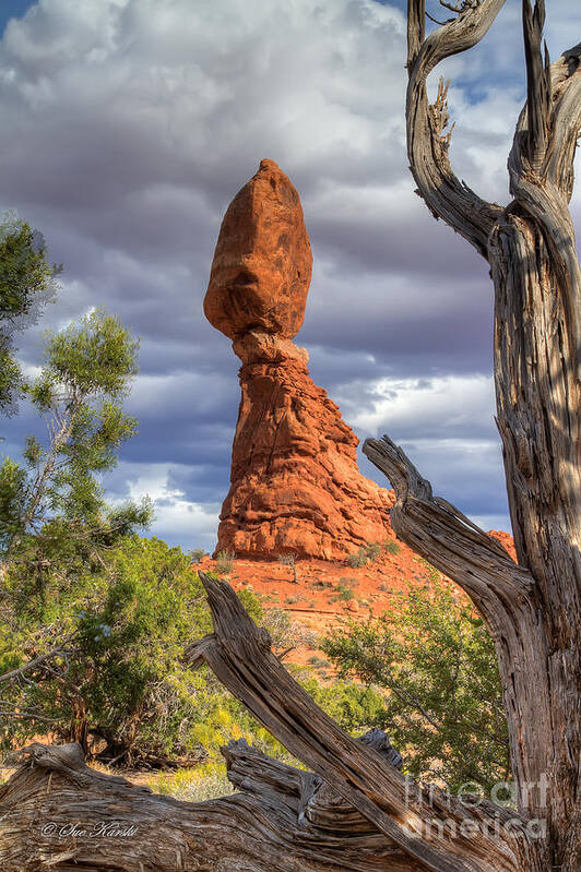 Arches National Park Art Print featuring the photograph Framed Balance Rock by Sue Karski