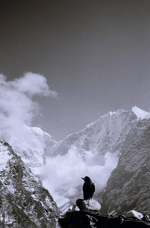 Freedom Art Print featuring the photograph Himalayan Enchanting Solitude by Shaun Higson