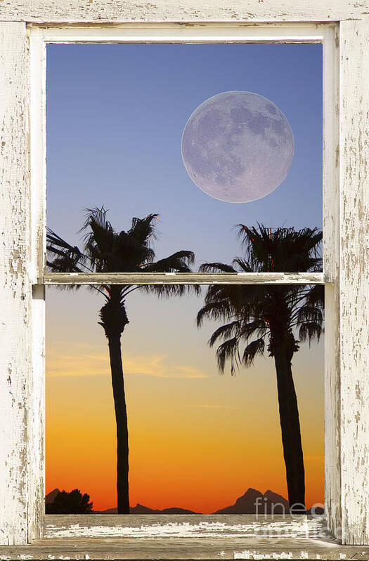 Windows Art Print featuring the photograph Full Moon Palm Tree Picture Window Sunset by James BO Insogna