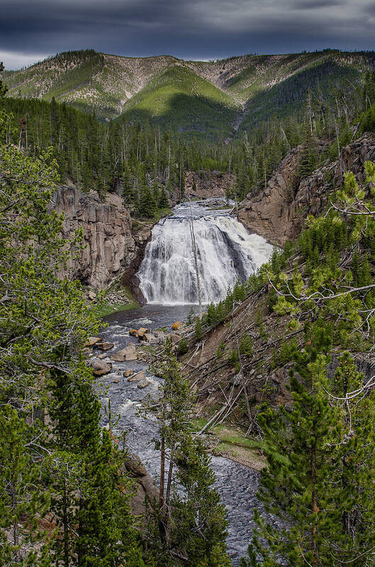 Yellowstone Art Print featuring the photograph Gibbon Falls by Greg Nyquist