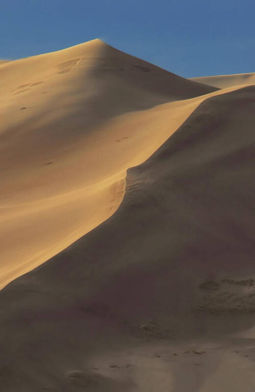 Sand Dunes Art Print featuring the photograph Golden Dunes by Dave Mills