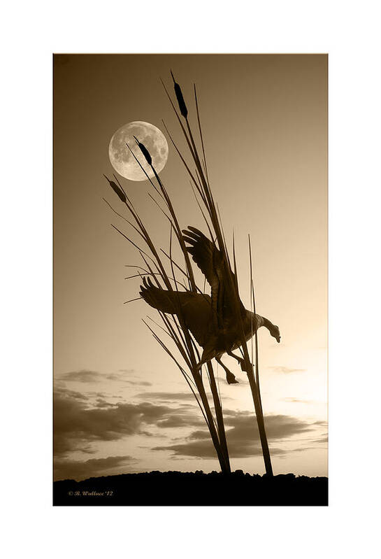 2d Art Print featuring the photograph Goose At Dusk - Sepia by Brian Wallace