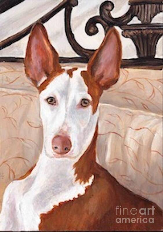 Ibizan Hound Art Print featuring the painting Halen by Charlotte Yealey