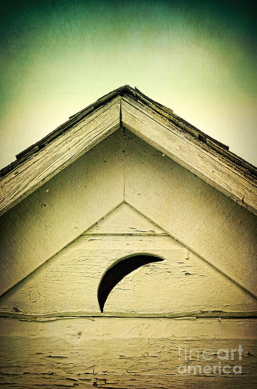 Outhouse Art Print featuring the photograph Half Moon on Rurual Outhouse by Jill Battaglia