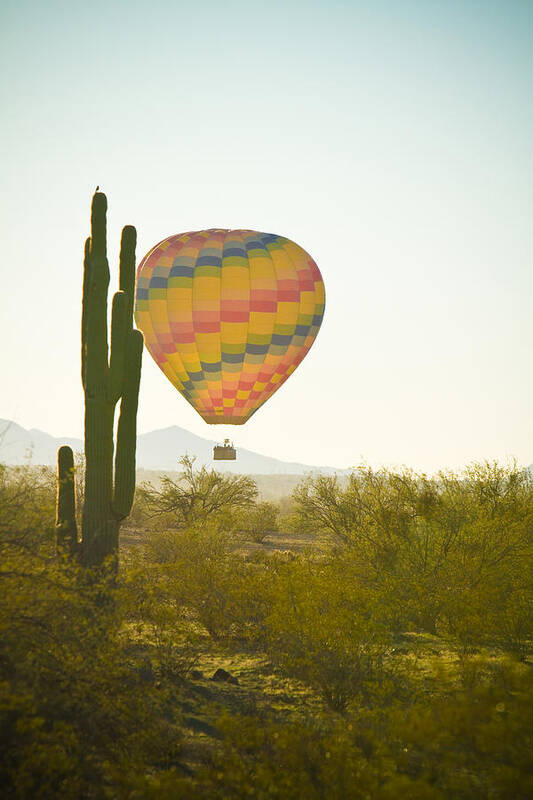 Arizona Art Print featuring the photograph Hot Air Balloon over the Arizona Desert With Giant Saguaro by James BO Insogna