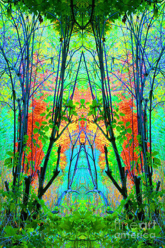 Forest Art Print featuring the photograph Into the Forest by Margaret Hood