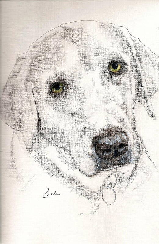 Dog Sketch Art Print featuring the painting Jalen by Janet Lavida