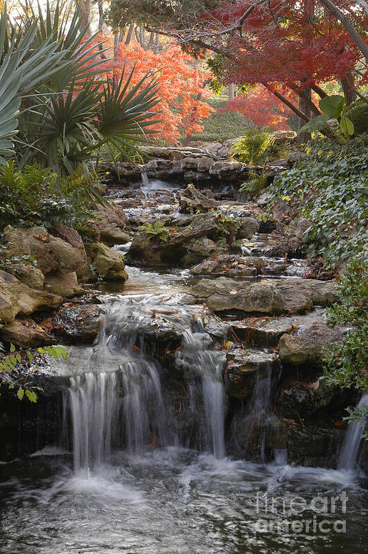 Waterfall Photography Art Print featuring the photograph Waterfall in the Japanese Gardens, Ft. Worth, Texas by Greg Kopriva