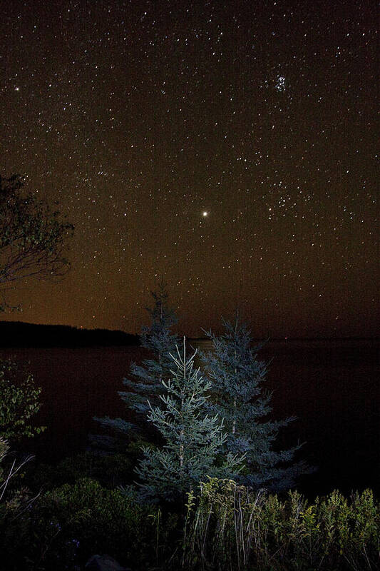 Night Art Print featuring the photograph Jupiter Over Otter Point 3 by Brent L Ander